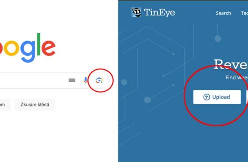 Google Reverse Image Search